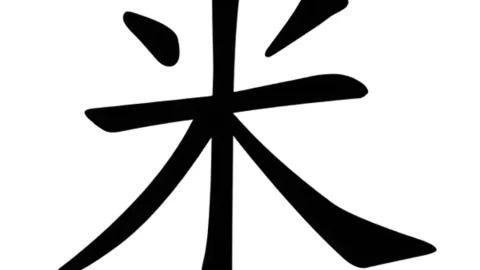 Bộ Mễ trong tiếng Trung (米) có ý nghĩa gì? Cách học như thế nào?