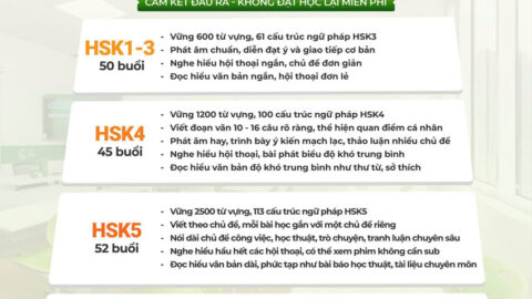 Khóa học tiếng Trung cơ bản cho người mới bắt đầu từ con số 0