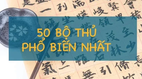 50 bộ thủ cơ bản trong tiếng Trung dành cho người mới bắt đầu học