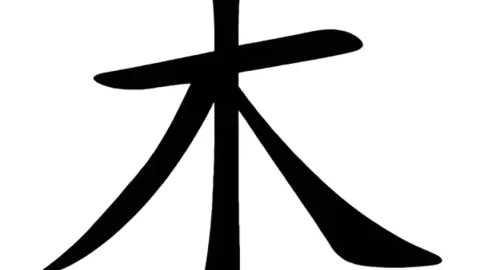 Giải mã bộ Mộc trong tiếng Trung (木) cho người mới bắt đầu