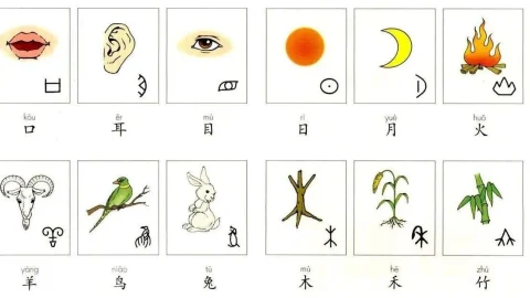 Bộ thủ trong tiếng Trung: Nên học bộ thủ như thế nào?