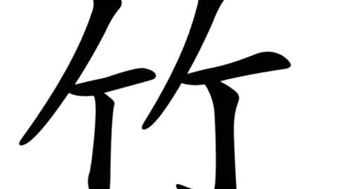 Tổng hợp những kiến thức cần biết về bộ Trúc trong tiếng Trung