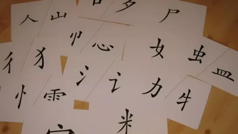 Cách ghép các bộ thủ trong tiếng Trung: Hình thanh và hội ý