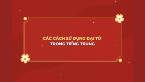 Đại từ trong tiếng Trung – Phân loại và cách sử dụng đúng