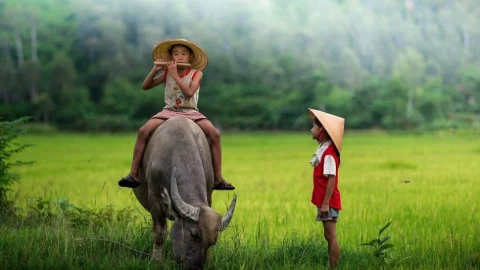 Tiếng Trung chủ đề quê hương – Từ vựng và Mẫu câu thông dụng