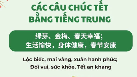 Những câu chúc tết bằng tiếng Trung hay nhất năm 2025