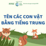 Học ngay tên các con vật bằng tiếng Trung