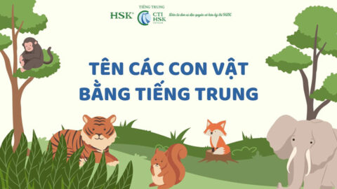 Học ngay tên các con vật bằng tiếng Trung