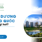 Khám phá Thẩm Dương Trung Quốc