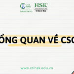Tổng quan về CSCA: đối tượng tham gia, hình thức, quy trình đăng ký