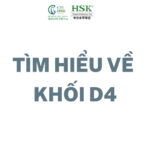 Tìm hiểu vể Khối D4: ngành nào, thi trường nào?