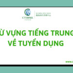 Từ vựng tiếng Trung về Tuyển dụng