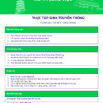 Tuyển dụng vị trí Thực tập sinh Truyền thông